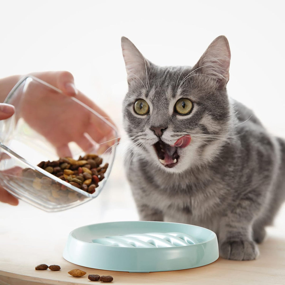 Cat Slow Feeder Bowl Slow Feed Cat Dish Fishbone Cat Slow Feeder Small Interactive Dog Feeder Dish Anti Gulping Pet Bowl For Cat And Dog Slow Eating To Against Bloat