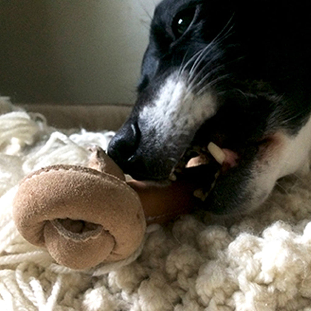 Huggle-Hide® Natural Leather Bone Dog Toy, 3 Pack