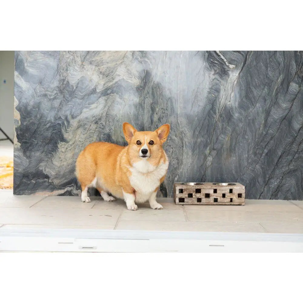 Huntley Pet Elevated Dog and Cat Double Bowl Feeder