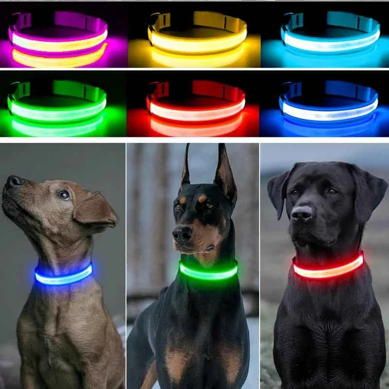 LED Pet Dog Collar for Night Safety | Bright USB Rechargeable