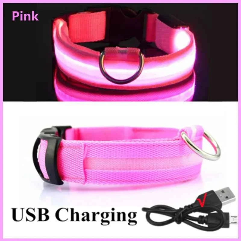LED Pet Dog Collar for Night Safety | Bright USB Rechargeable