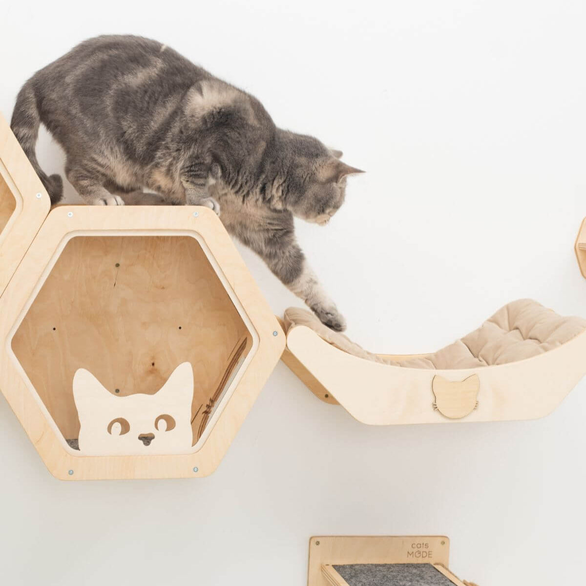 Cat Bed on Wall Light