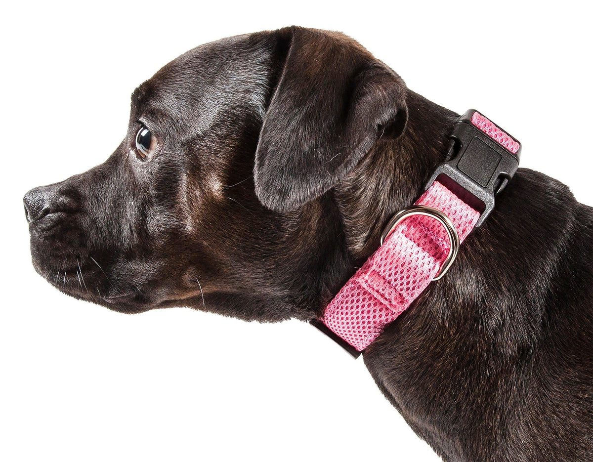 Pet Life ®  'Aero Mesh' Dual-Sided Breathable and Adjustable Thick Mesh Dog Collar
