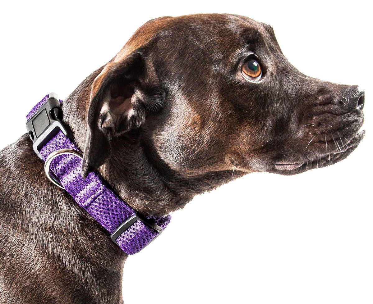 Pet Life ®  'Aero Mesh' Dual-Sided Breathable and Adjustable Thick Mesh Dog Collar
