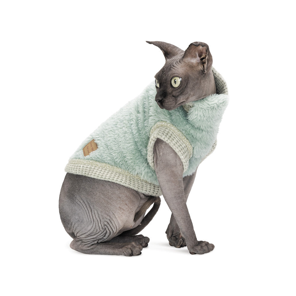 Pet sweater for cat (B2B)