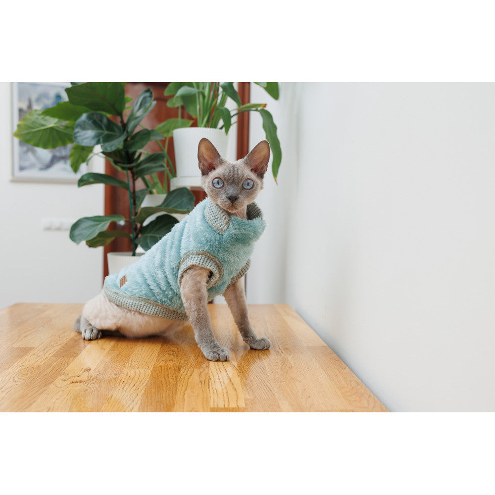 Pet sweater for cat (B2B)