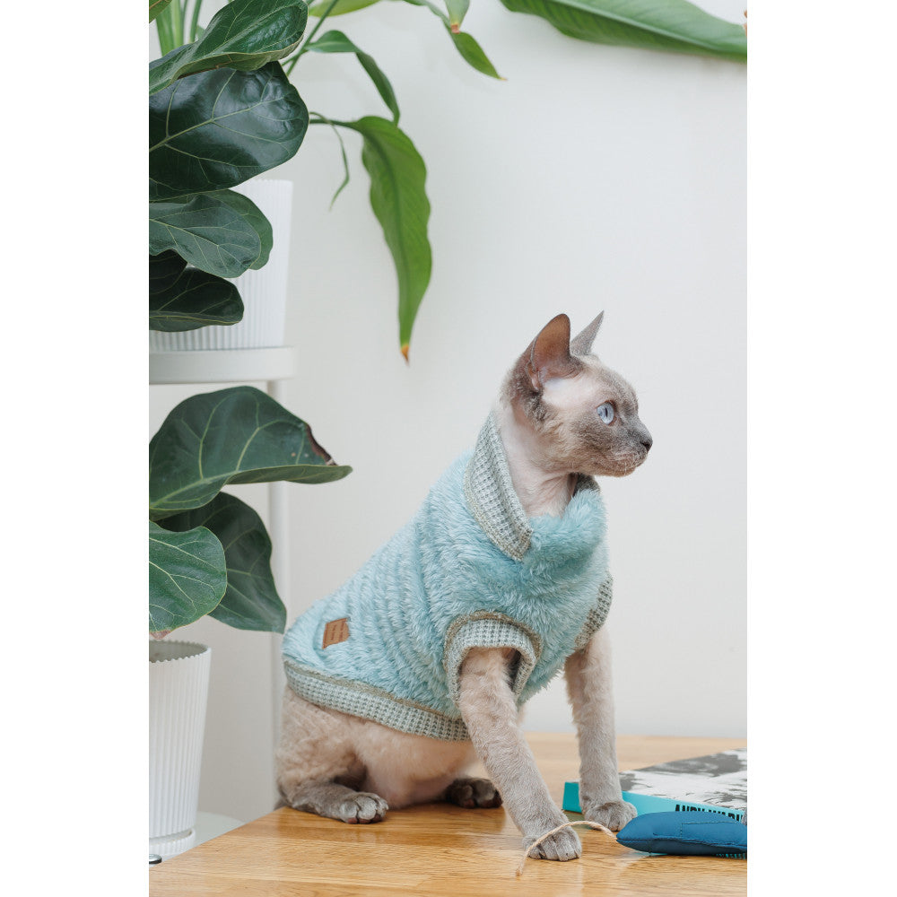 Pet sweater for cat (B2B)