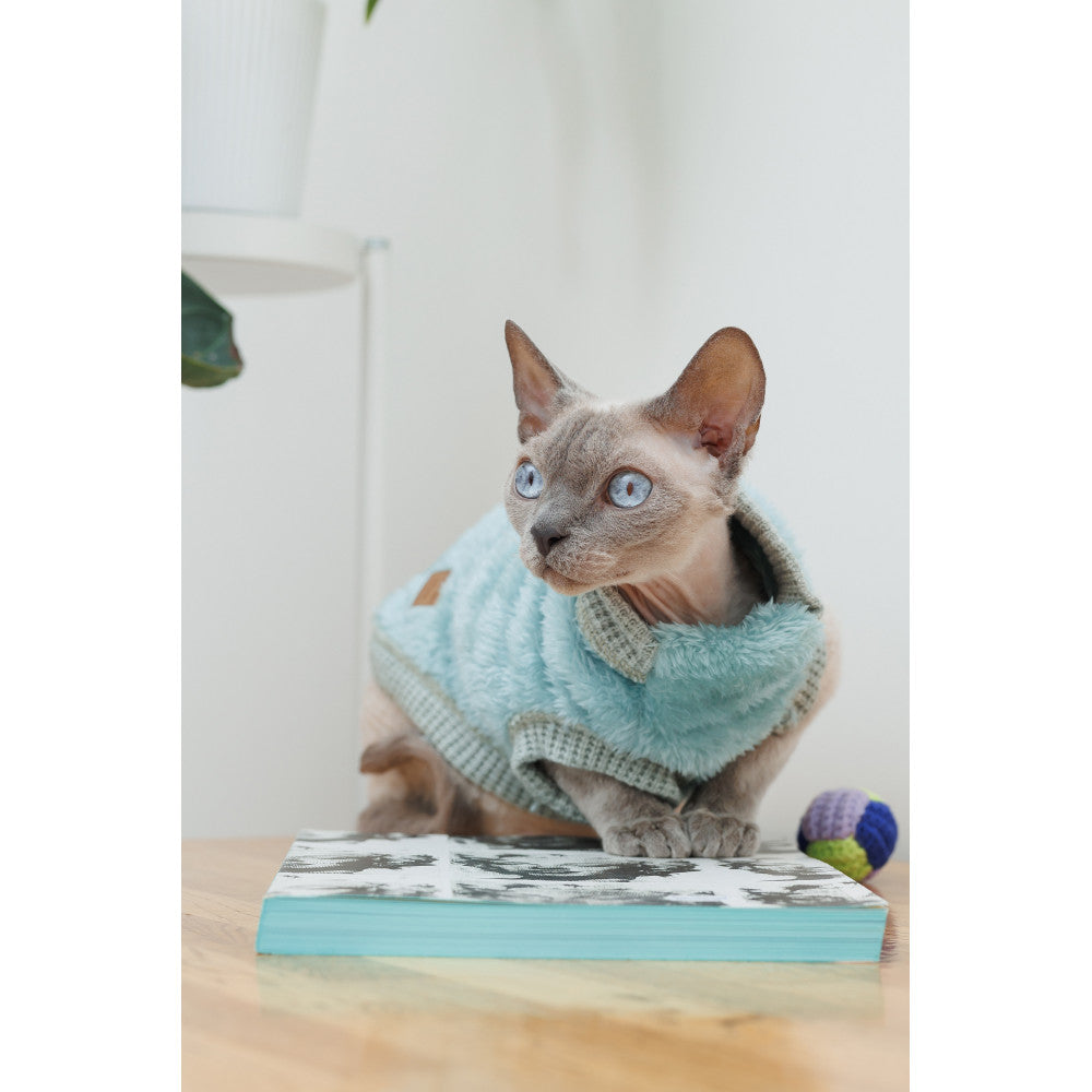 Pet sweater for cat (B2B)